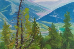 Johan's Trees, 200x160
