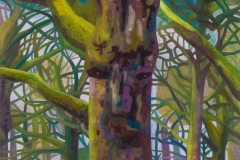 Samuels Trees, 150x120